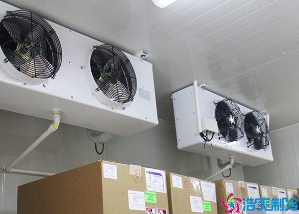 果蔬气调泡芙APP短视频