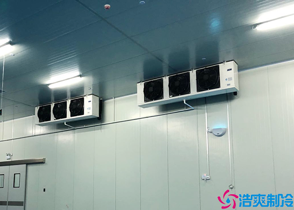 大型低温肉品泡芙APP短视频