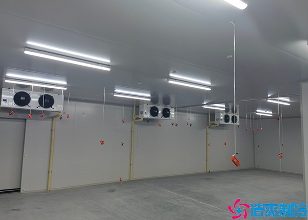 速冻泡芙APP短视频