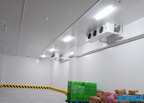 食品速冻泡芙APP短视频