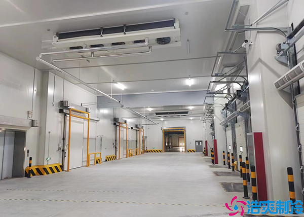 生鲜物流泡芙APP短视频设备