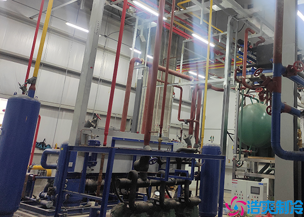 冷冻食品泡芙APP短视频