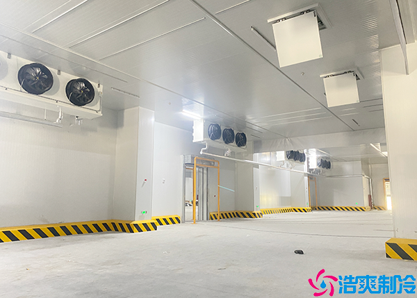 冷链物流仓储泡芙APP短视频