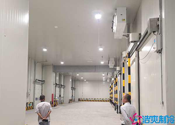 冷链物流仓储泡芙APP短视频