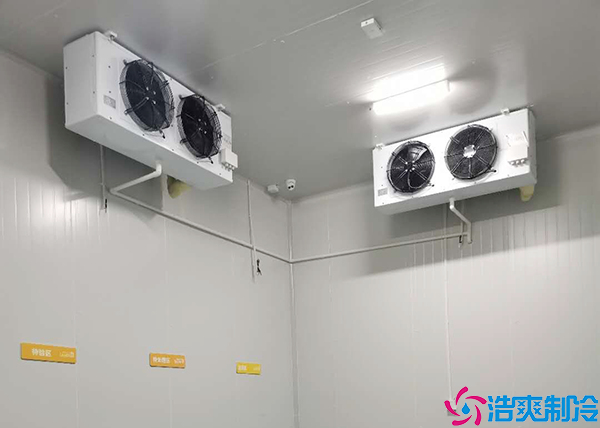 食品低温泡芙APP短视频