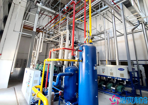 大型食品泡芙APP短视频