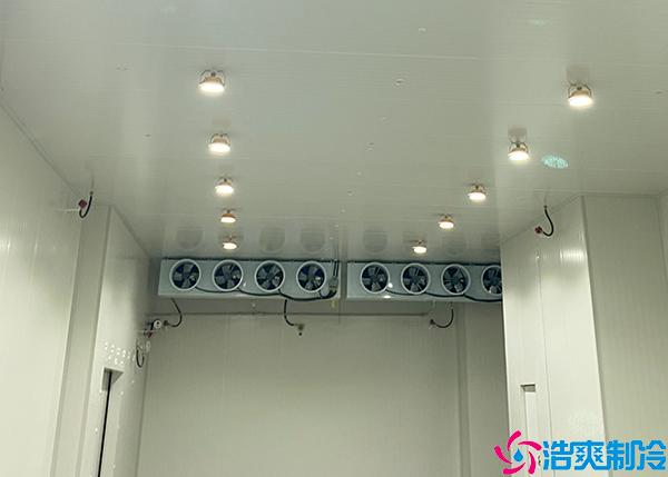 大型物流泡芙APP短视频