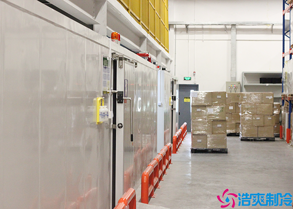 大型物流泡芙APP短视频