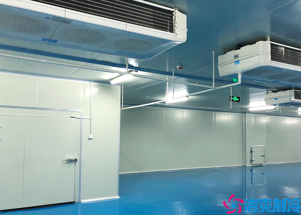 低温肉品泡芙APP短视频