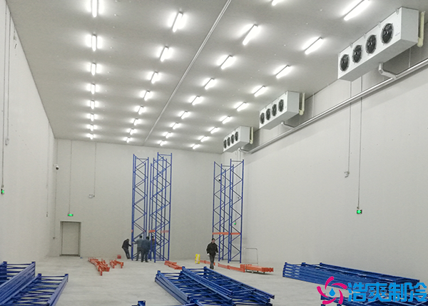 果蔬气调泡芙APP短视频