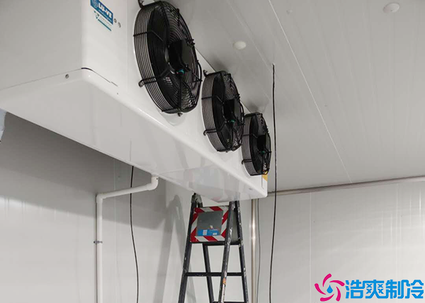 花卉泡芙APP短视频制冷设备