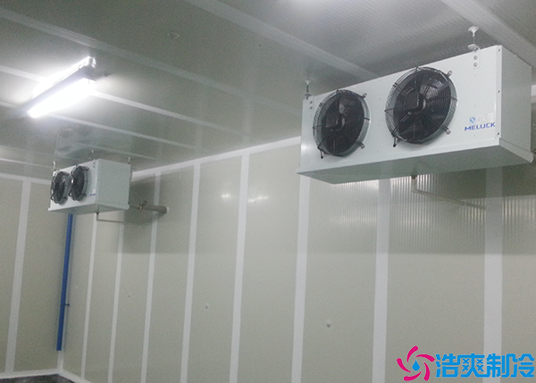 牛肉泡芙APP短视频