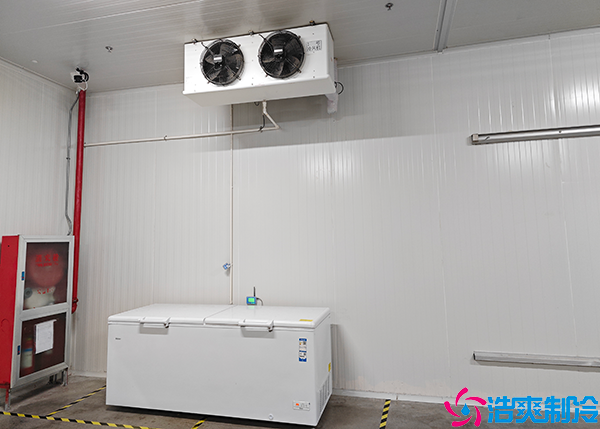 食品泡芙APP短视频