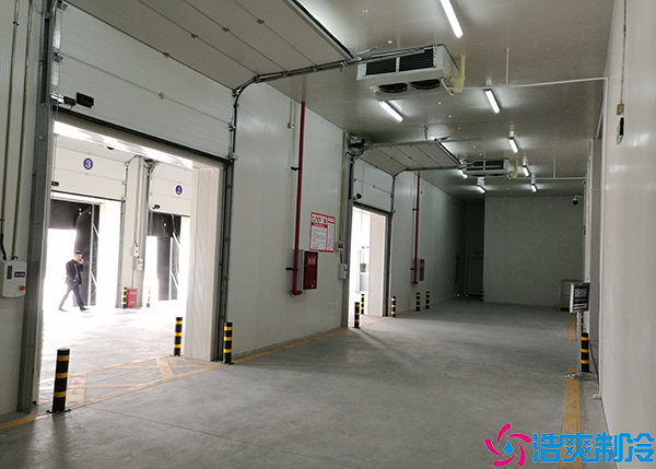 大型物流冷链泡芙APP短视频