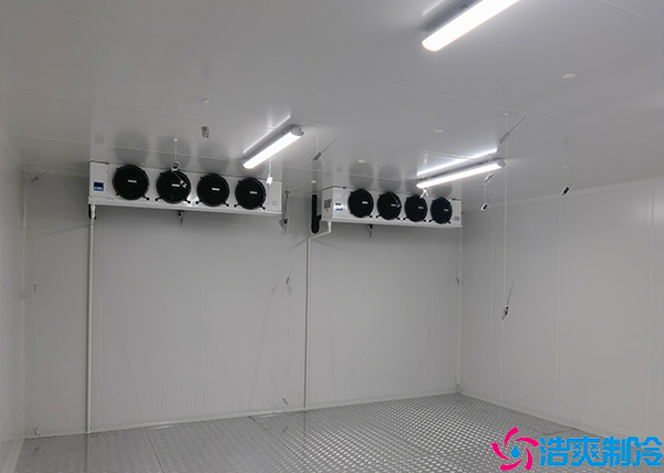 牛肉小型泡芙APP短视频