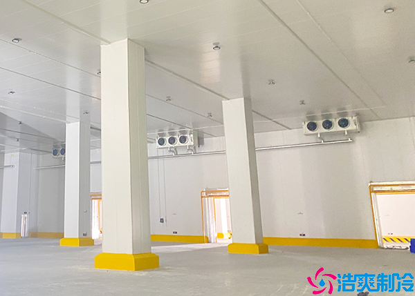 物流泡芙APP短视频