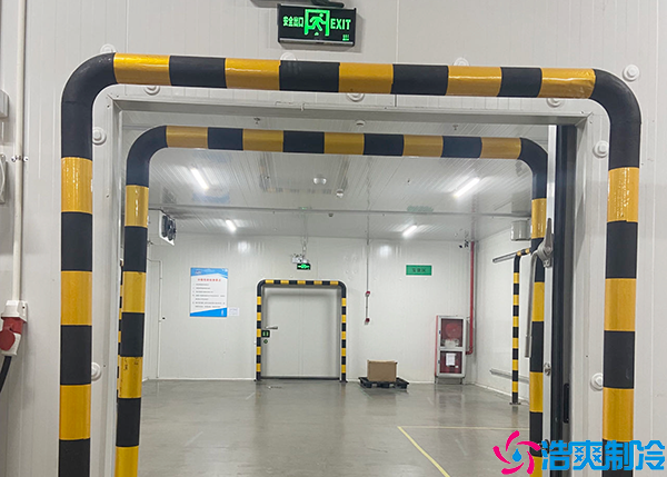 小型物流泡芙APP短视频