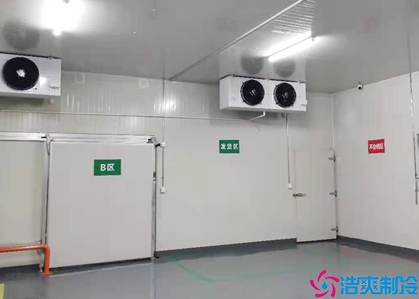 蔬菜保鲜泡芙APP短视频