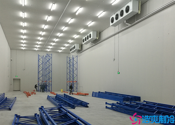 大型预泡芙APP短视频设备