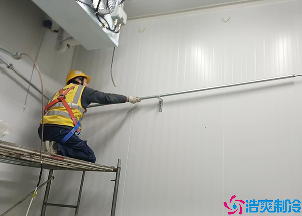 畜禽产品泡芙APP短视频