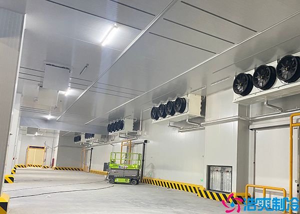 物流泡芙APP短视频