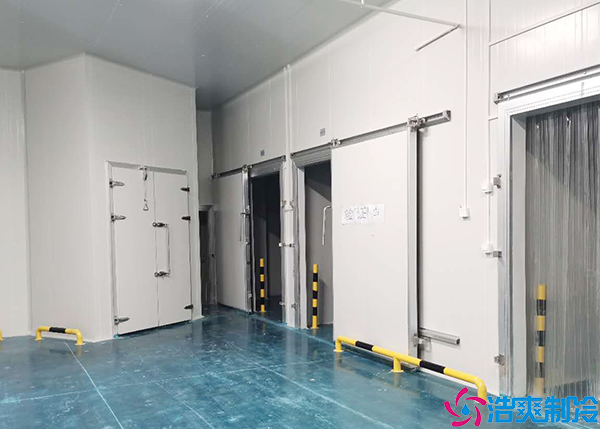 物流小型泡芙APP短视频