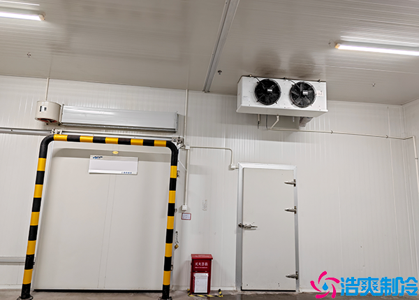 牛肉泡芙APP短视频