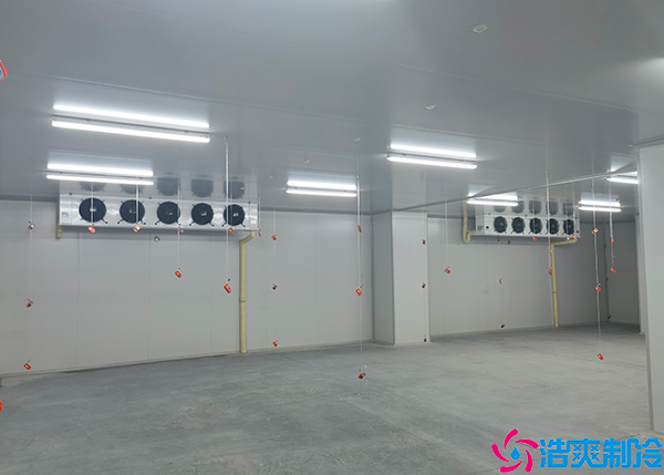 食品加工泡芙APP短视频