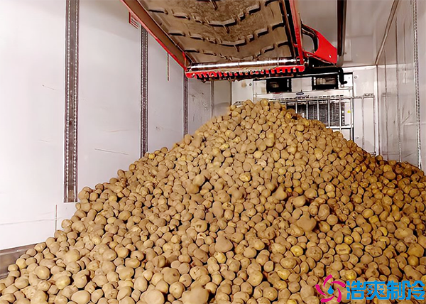 土豆泡芙APP短视频