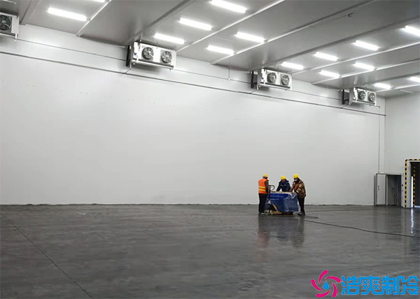 土豆泡芙APP短视频