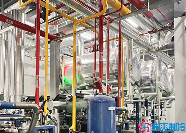 仓储物流泡芙APP短视频设备