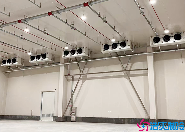 仓储物流泡芙APP短视频设备