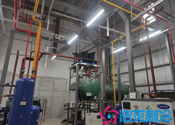 宁波大型泡芙APP短视频建造供应商.jpg