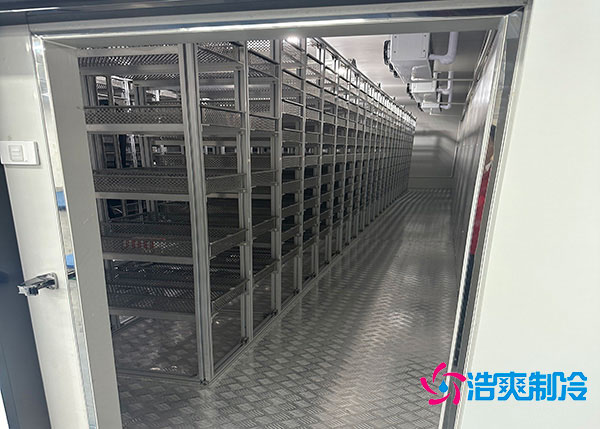 江西50平低温肉品泡芙APP短视频安装价格.jpg