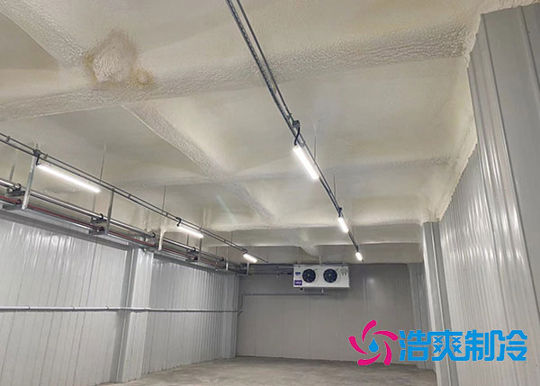 湖北葡萄气调保鲜泡芙APP短视频建造厂家.jpg