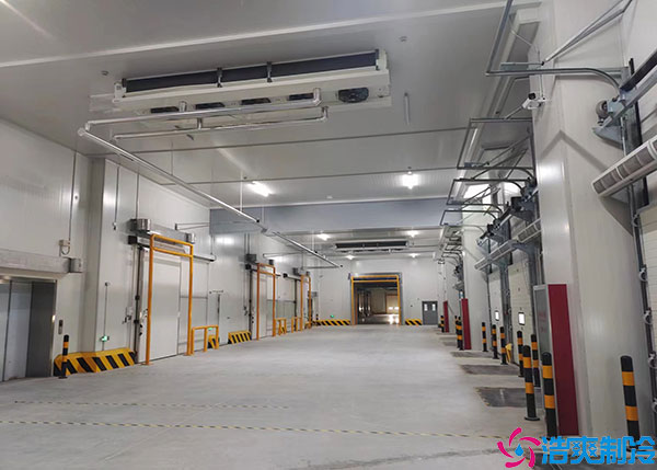 微型果蔬泡芙APP短视频建设要考虑什么因素？.jpg