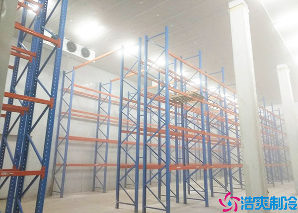 微型果蔬泡芙APP短视频建设要考虑什么因素？.jpg
