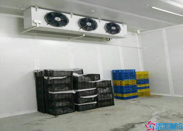 宁夏气调泡芙APP短视频如何建造？.jpg
