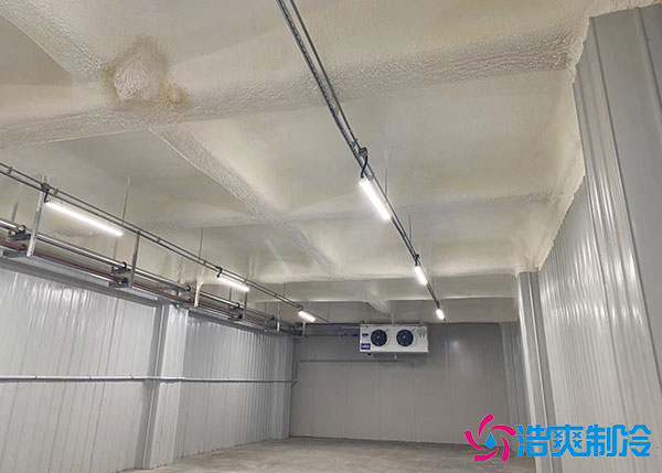 内蒙古小型物流泡芙APP短视频建设标准.jpg