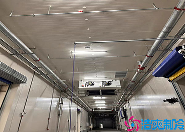 云南低温食品泡芙APP短视频建造方案.jpg