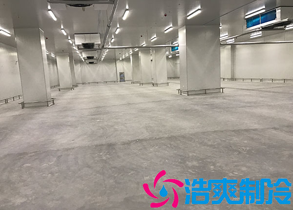 上海泡芙APP短视频设计造价厂家.jpg