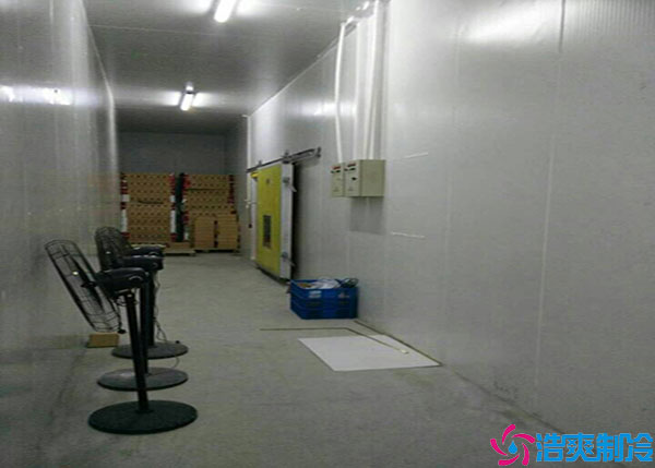 宁夏小型气调泡芙APP短视频建设标准.jpg