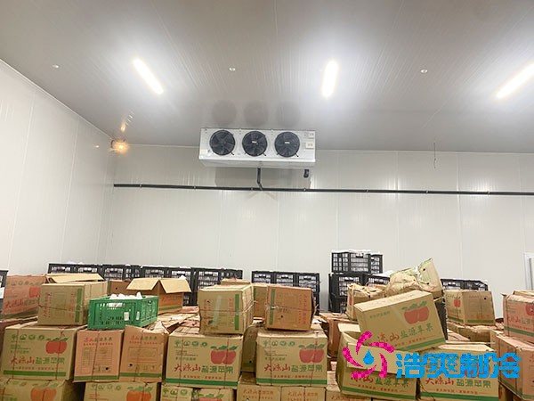 水果泡芙APP短视频建设多少钱一平