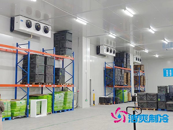 大型泡芙APP短视频造价多少钱