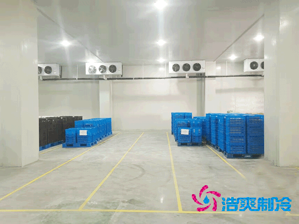 2025年各类型泡芙APP短视频造价及成本盘点