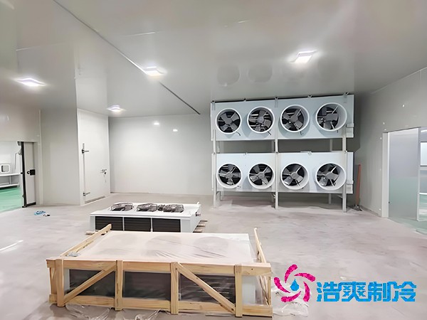 速冻泡芙APP短视频造价影响因素解析