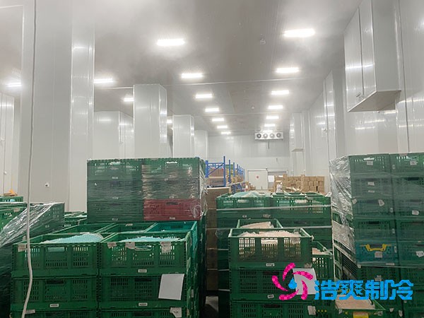 万吨大型泡芙APP短视频冷藏库建造多少钱