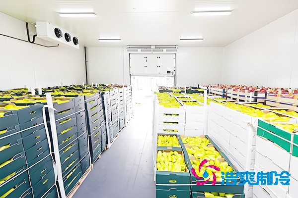 水果保鲜泡芙APP短视频每平方米的建造费用是多少钱？-泡芙视频官网下载免费制冷