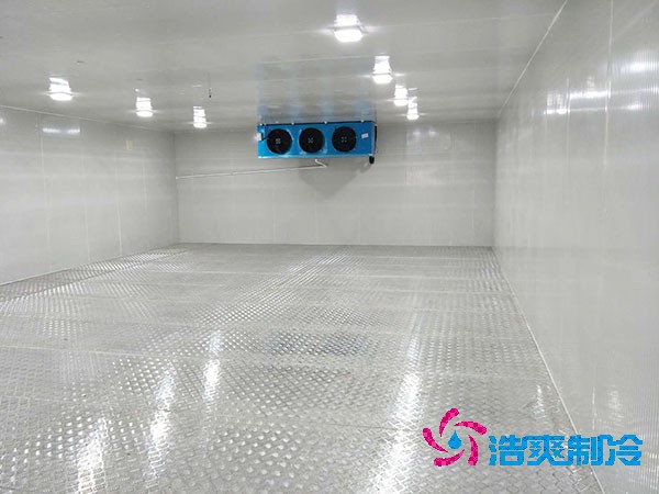 建造一个餐饮双温泡芙APP短视频造价成本需要多少资金？