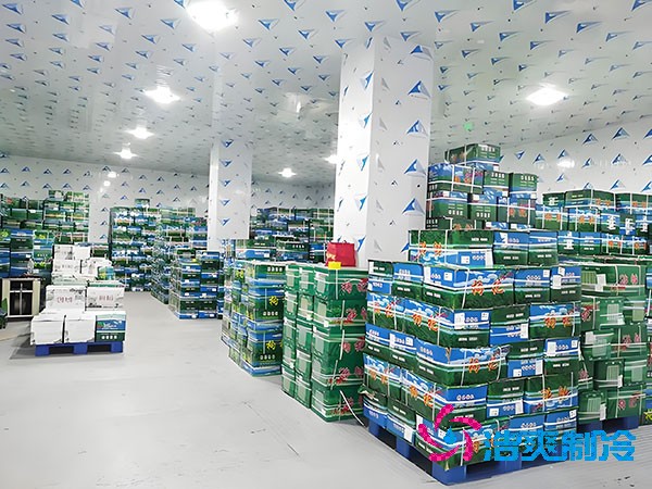 江苏地区果蔬气调保鲜泡芙APP短视频建造价格成本多少钱？-泡芙视频官网下载免费制冷
